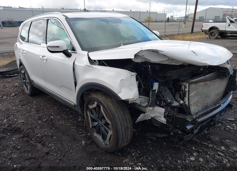 2023 KIA TELLURIDE S VIN: 5XYP6DGC9PG365897