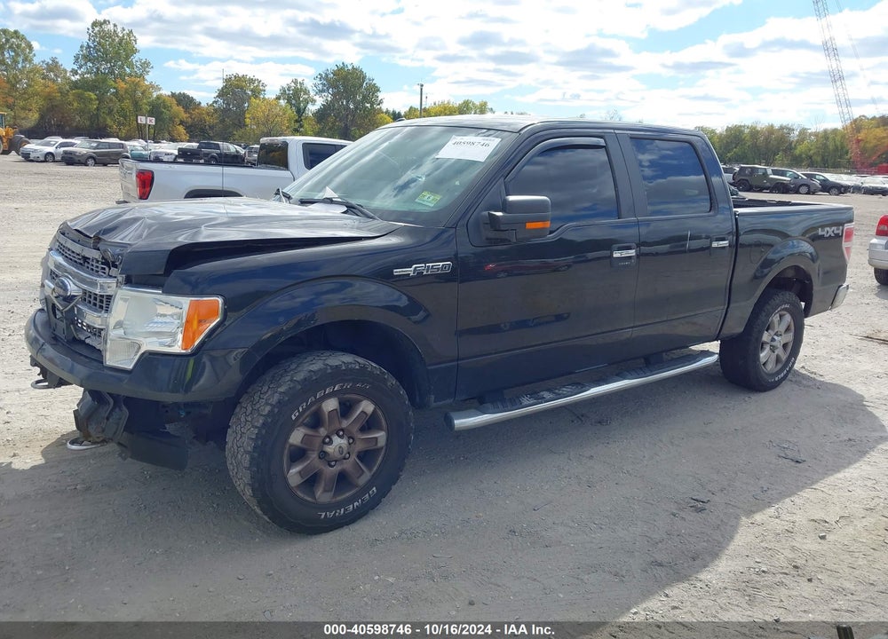 2014 FORD F-150 XLT VIN: 1FTFW1EF6EFA97995