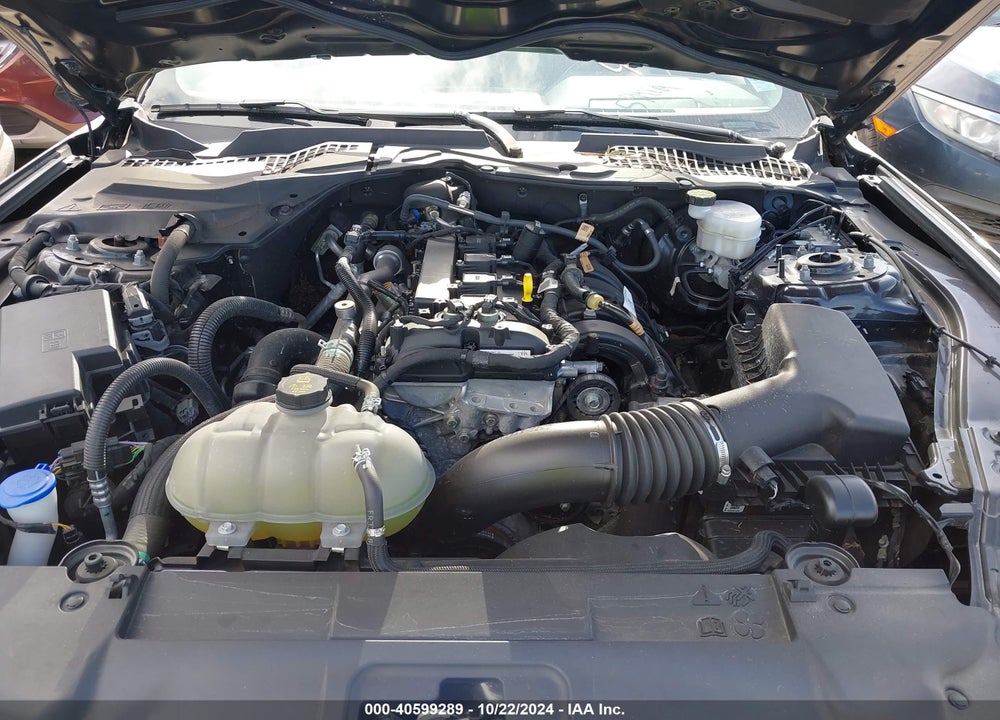 2022 FORD MUSTANG ECOBOOST PREMIUM VIN: 1FA6P8TH8N5141260