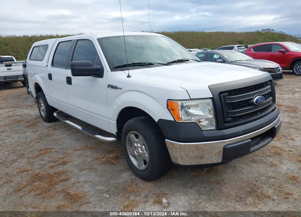 2013 FORD F-150 XL VIN: 1FTFW1CF7DKE99629