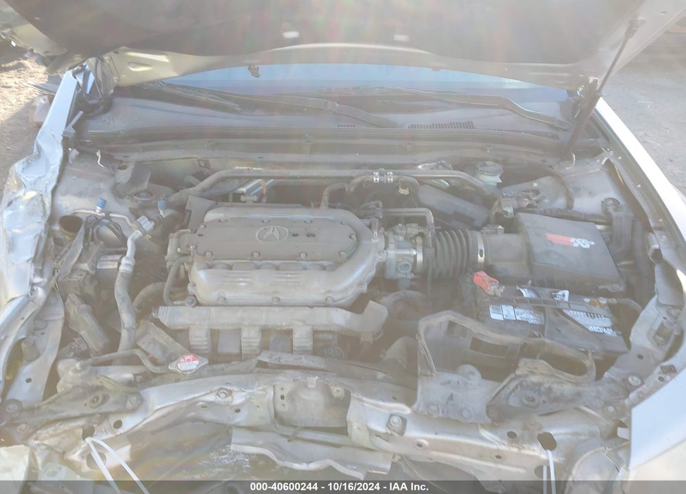 2009 ACURA TL 3.5 VIN: 19UUA865X9A016392