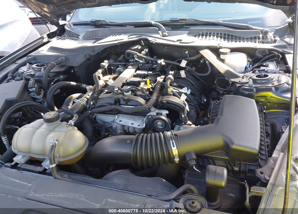 2021 FORD MUSTANG ECOBOOST PREMIUM VIN: 1FATP8UH9M5104220