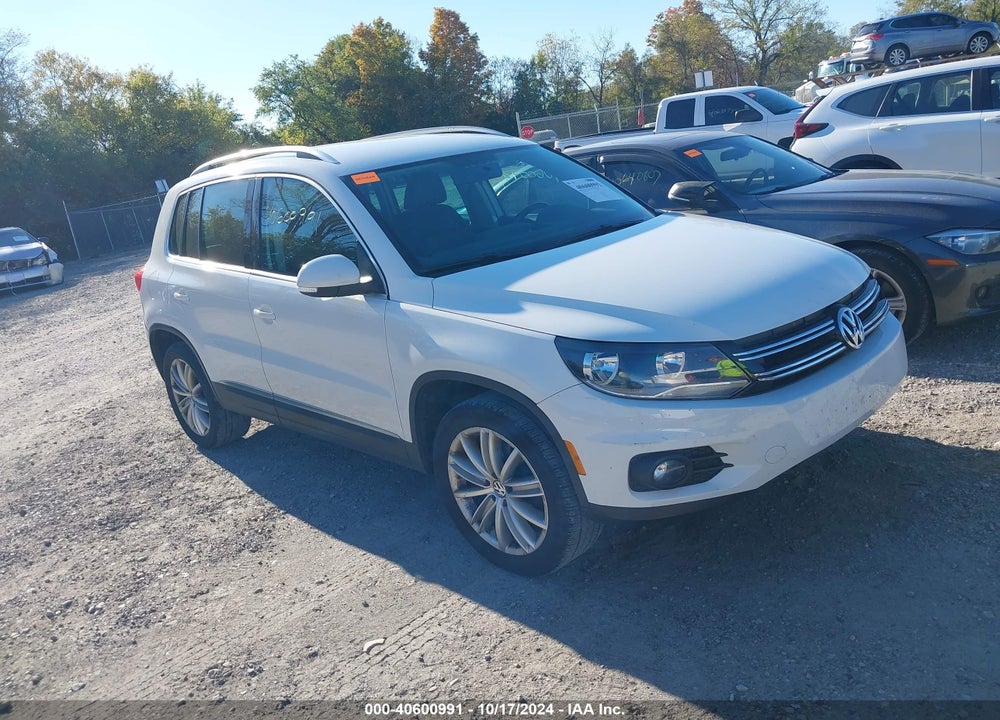 2013 VOLKSWAGEN TIGUAN SE VIN: WVGBV3AX7DW620074