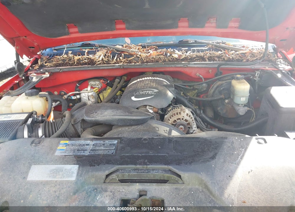 2002 CHEVROLET SILVERADO 1500 LS VIN: 2GCEK19V521389570