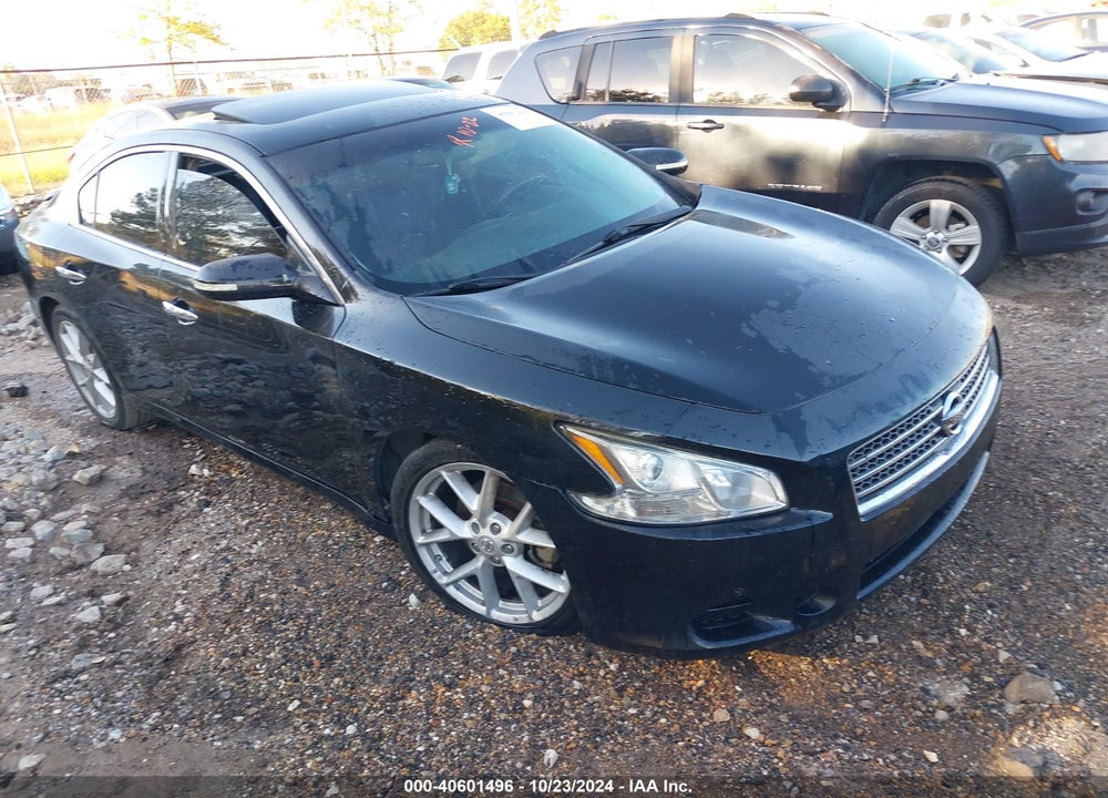 2009 NISSAN MAXIMA 3.5 SV VIN: 1N4AA51E09C816054