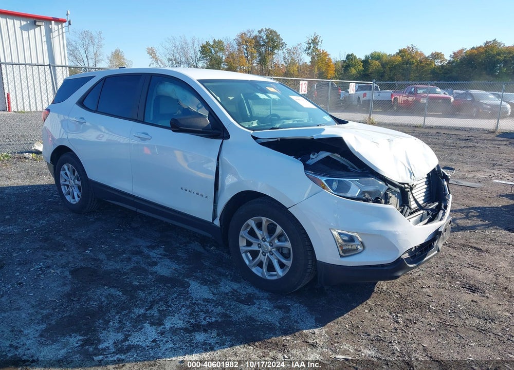 2020 CHEVROLET EQUINOX FWD LS VIN: 3GNAXHEV8LS647303