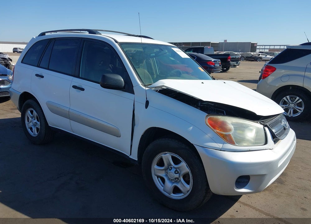 2004 TOYOTA RAV4 VIN: JTEGD20V640039493