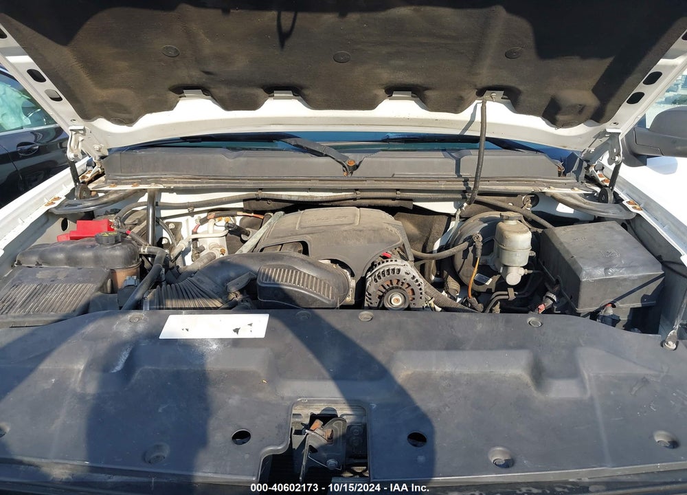 2013 CHEVROLET SILVERADO 1500 WORK TRUCK VIN: 3GCPCPE02DG163919