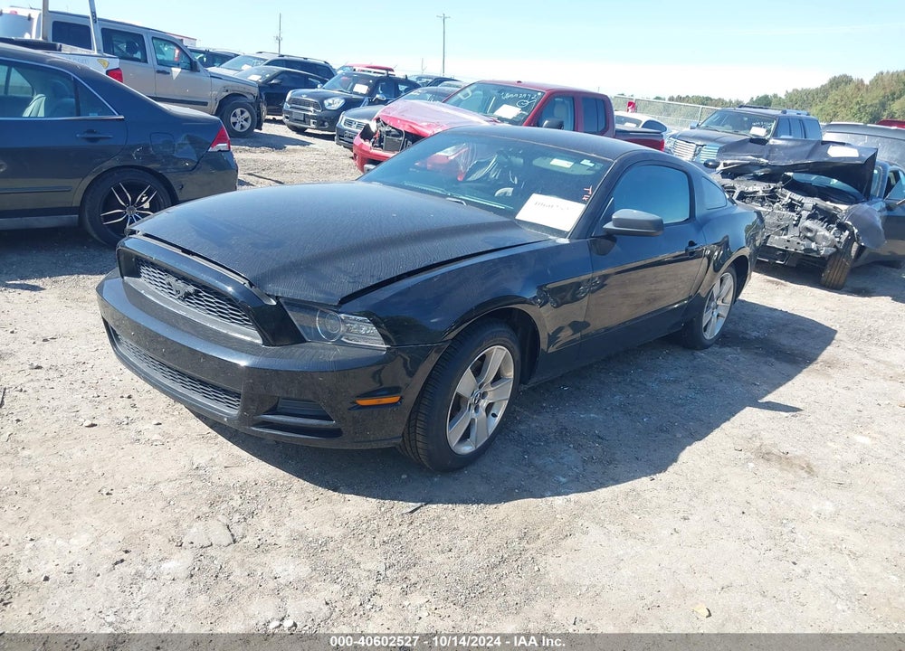 2014 FORD MUSTANG VIN: 1ZVBP8AM1E5223918