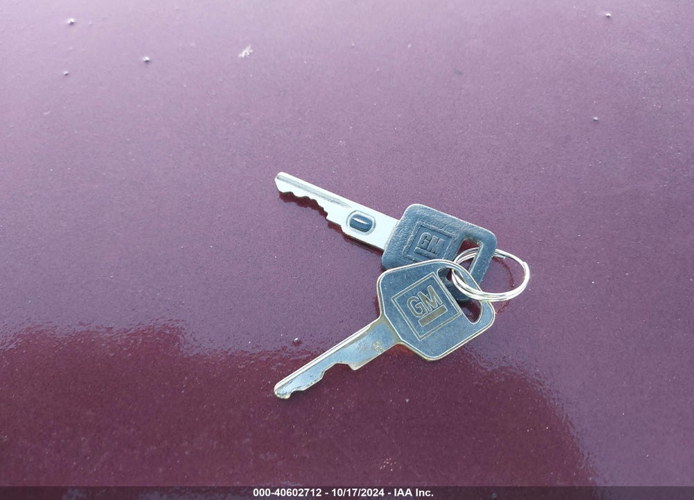 1998 CHEVROLET LUMINA VIN: 2G1WL52M7W9273913