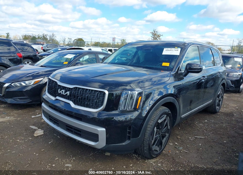 2024 KIA TELLURIDE EX VIN: 5XYP3DGC4RG481438
