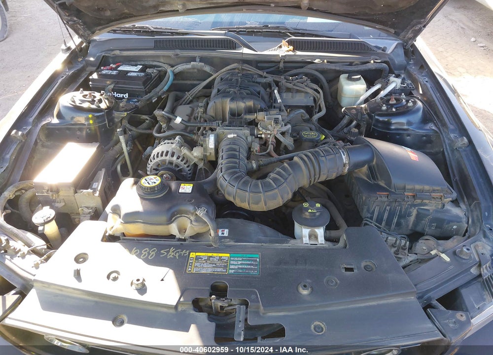 2006 FORD MUSTANG V6 VIN: 1ZVFT80N065239729