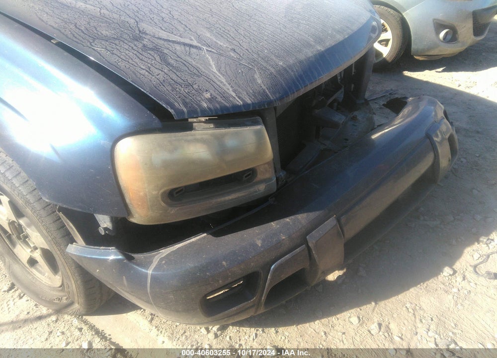 2004 CHEVROLET TRAILBLAZER LS VIN: 1GNDS13S542222274