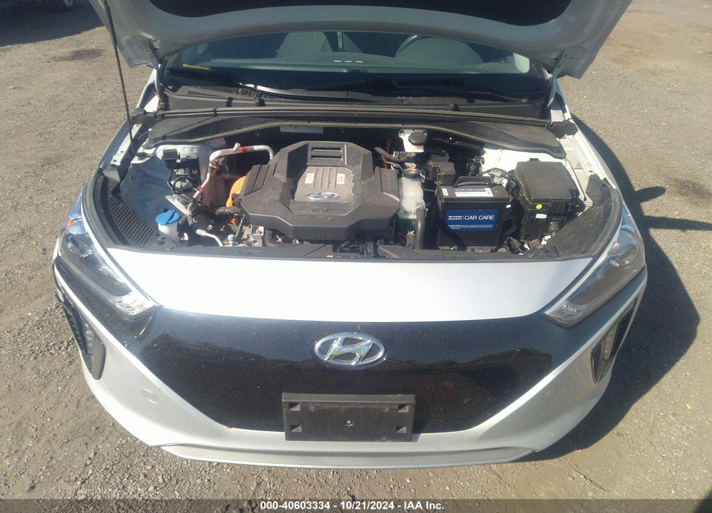 2019 HYUNDAI IONIQ ELECTRIC VIN: KMHC75LHXKU048796
