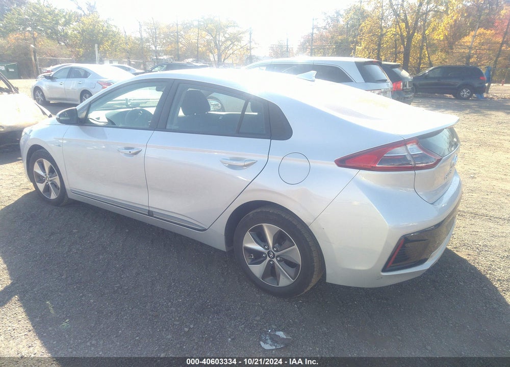 2019 HYUNDAI IONIQ ELECTRIC VIN: KMHC75LHXKU048796