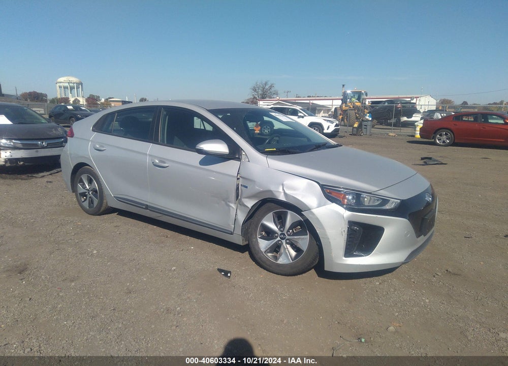 2019 HYUNDAI IONIQ ELECTRIC VIN: KMHC75LHXKU048796