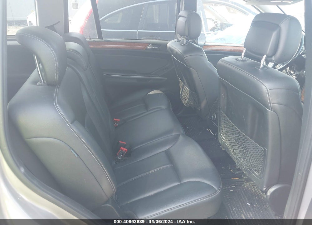 2009 MERCEDES-BENZ GL 450 4MATIC VIN: 4JGBF71E09A460918