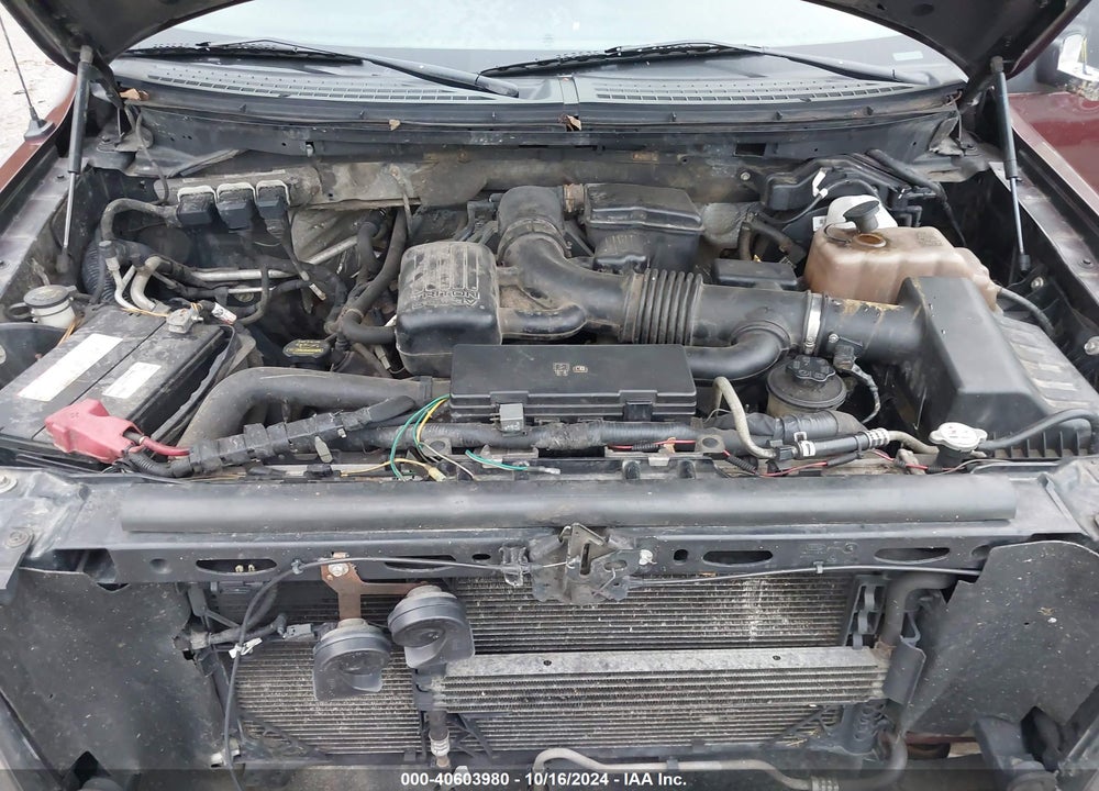 2010 FORD F-150 FX4/HARLEY-DAVIDSON/KING RANCH/LARIAT/PLATINUM/XL/XLT VIN: 1FTFW1EV9AFC92927