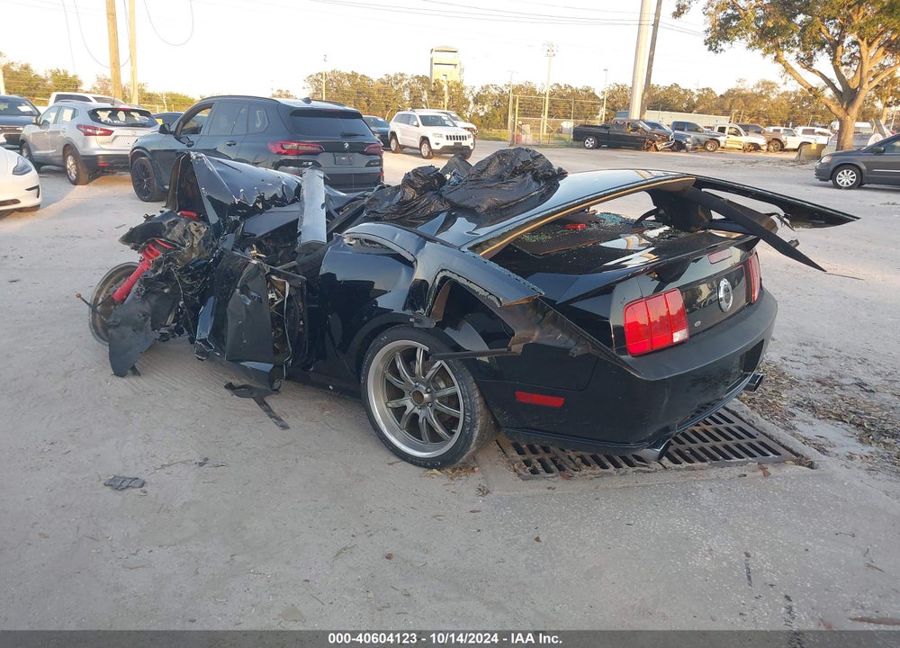 2008 FORD MUSTANG GT DELUXE VIN: 1ZVHT82H885157198