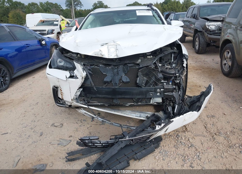 2019 LEXUS NX 300 VIN: JTJYARBZ8K2142133