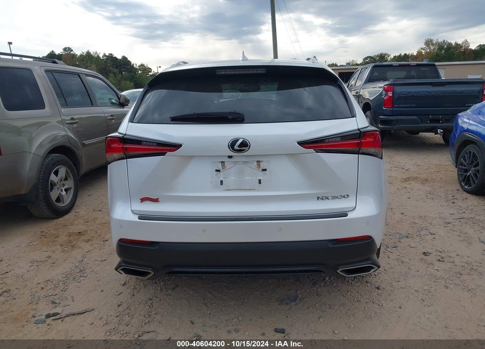 2019 LEXUS NX 300 VIN: JTJYARBZ8K2142133