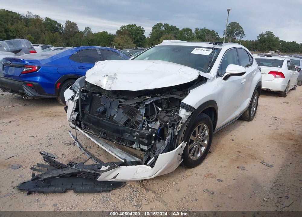2019 LEXUS NX 300 VIN: JTJYARBZ8K2142133
