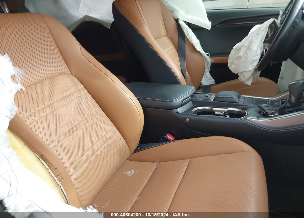 2019 LEXUS NX 300 VIN: JTJYARBZ8K2142133