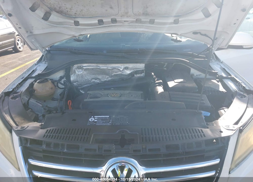 2009 VOLKSWAGEN TIGUAN S/SE/SEL VIN: WVGAV75N09W517789