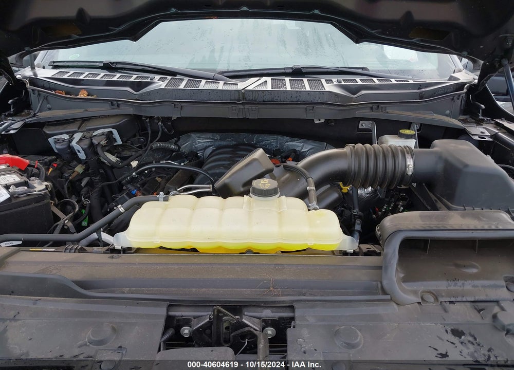 2022 FORD F-150 XL VIN: 1FTFW1E54NFA59866