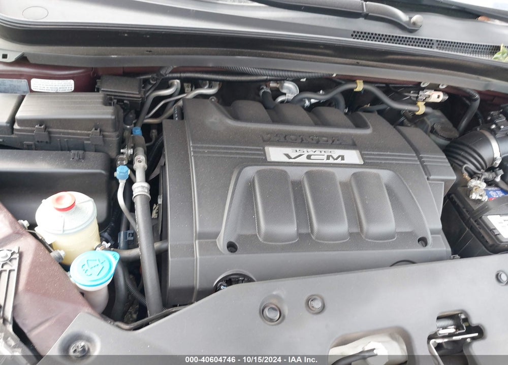2009 HONDA ODYSSEY EX-L VIN: 5FNRL387X9B406531