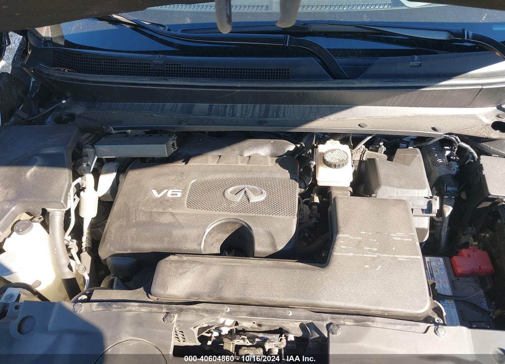 2020 INFINITI QX60 LUXE AWD VIN: 5N1DL0MM7LC513024