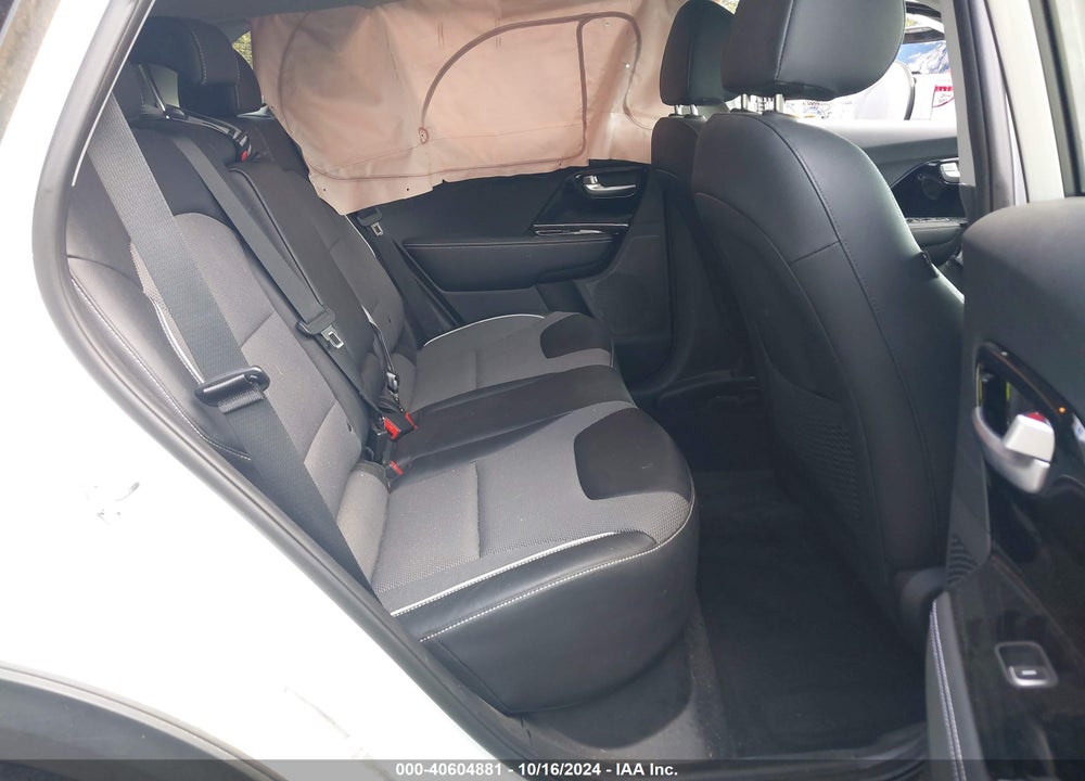 2020 KIA NIRO EV EX VIN: KNDCC3LG9L5065273