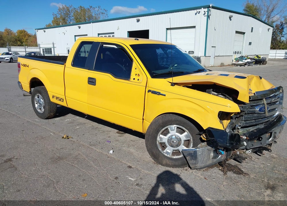2010 FORD F-150 STX/XL/XLT VIN: 1FTEX1E82AKE39258