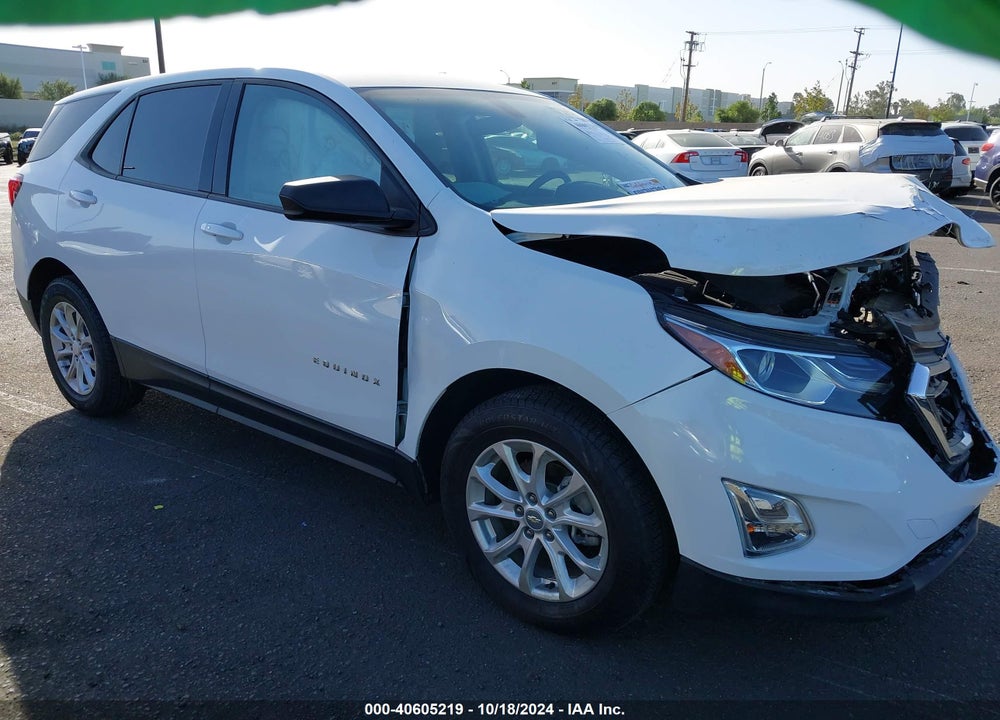 2019 CHEVROLET EQUINOX LS VIN: 2GNAXHEV5K6303571