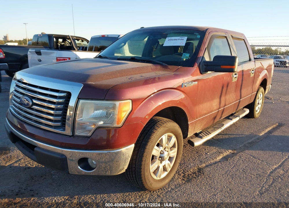 2010 FORD F-150 FX2 SPORT/XL/XLT VIN: 1FTEW1C89AFC27911
