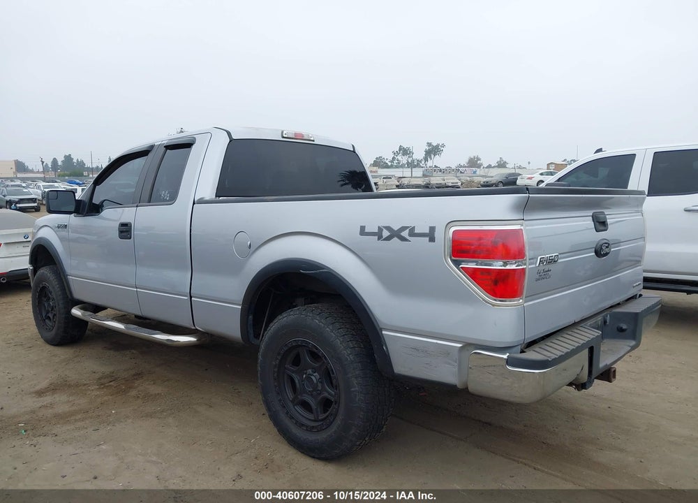 2012 FORD F-150 XLT VIN: 1FTFX1EF3CKD46481