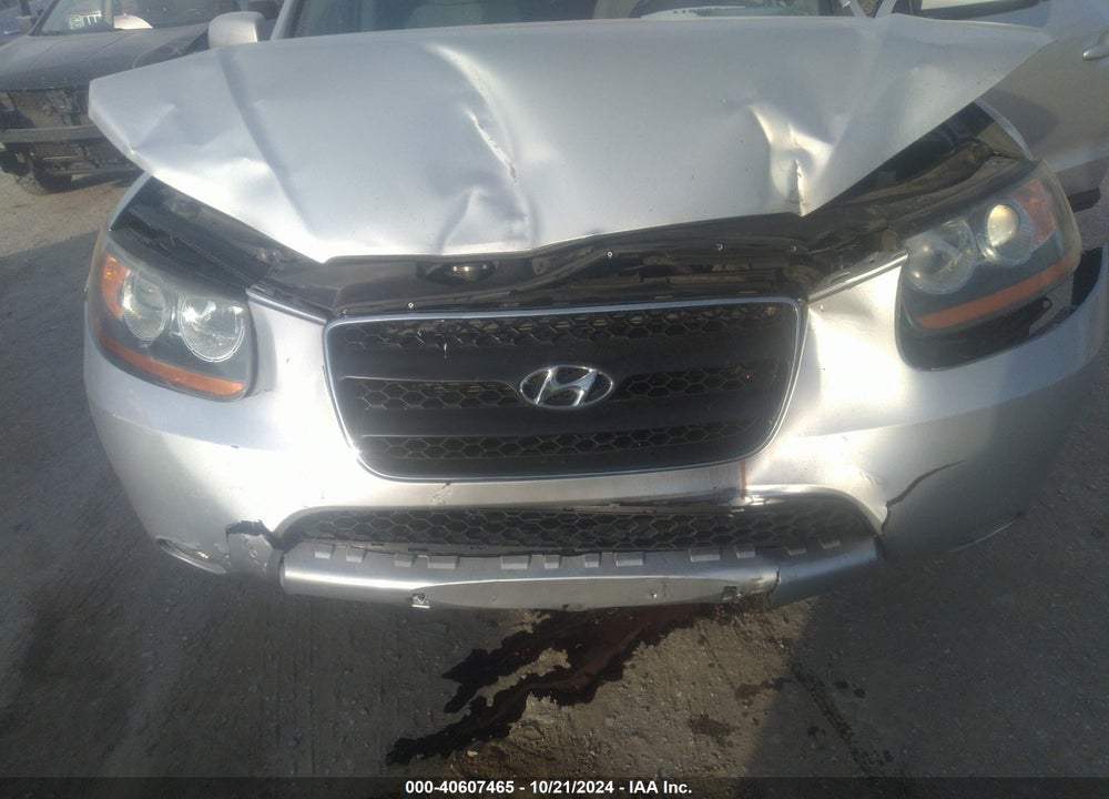 2009 HYUNDAI SANTA FE SE VIN: 5NMSH13E59H238762