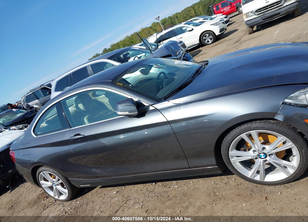 2014 BMW 228I VIN: WBA1F5C5XEV255933