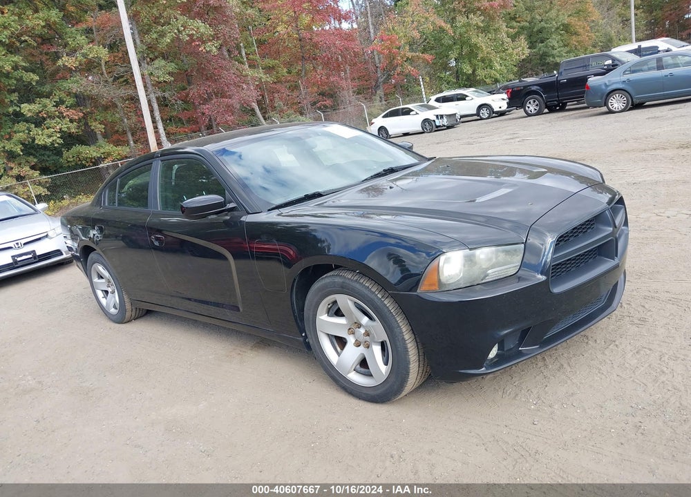 2014 DODGE CHARGER POLICE VIN: 2C3CDXAT0EH124747