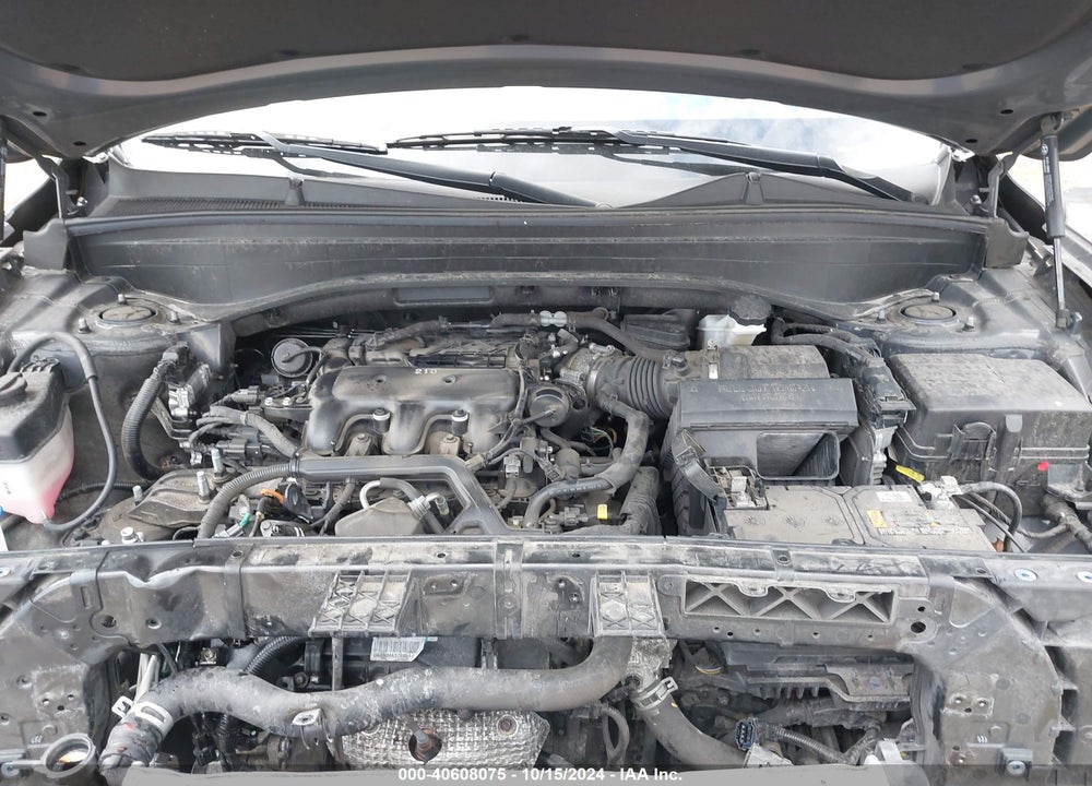 2021 HYUNDAI PALISADE SE VIN: KM8R14HE7MU273569