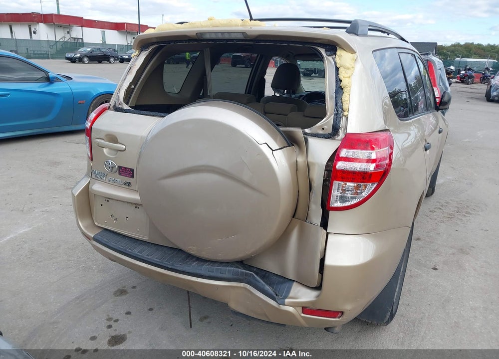 2010 TOYOTA RAV4 VIN: 2T3BF4DV4AW036730