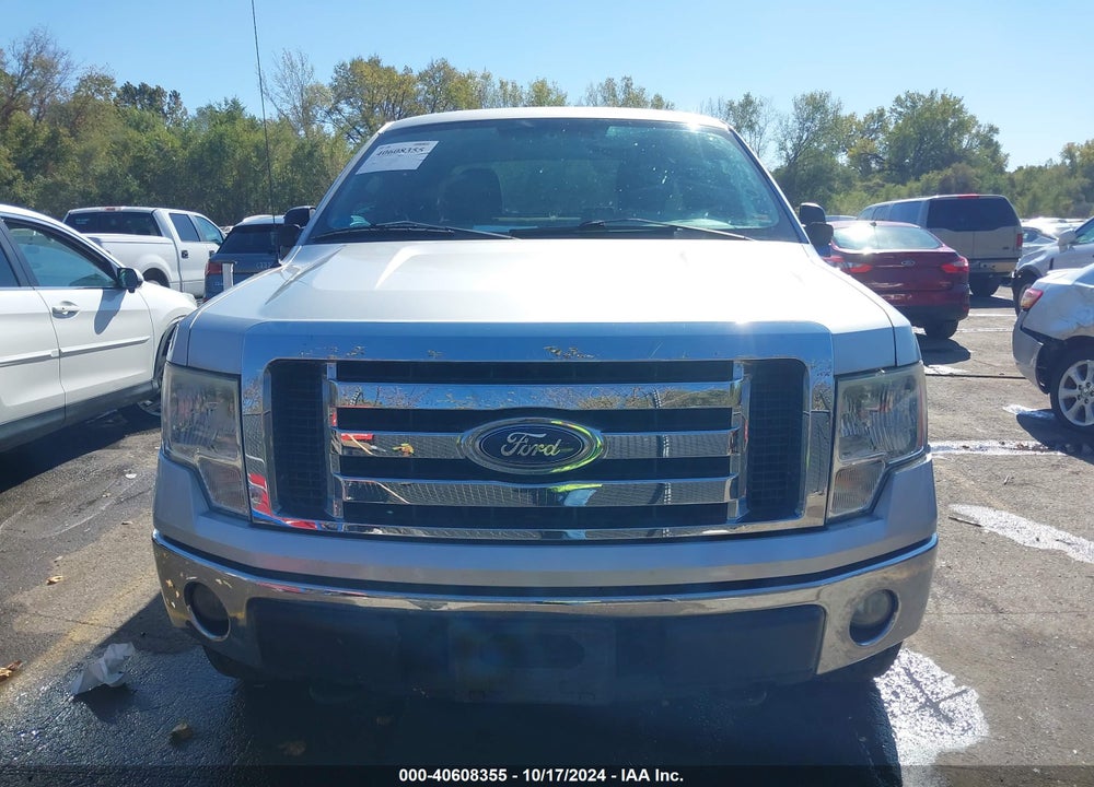 2010 FORD F-150 STX/XL/XLT VIN: 1FTEX1E87AFA70342