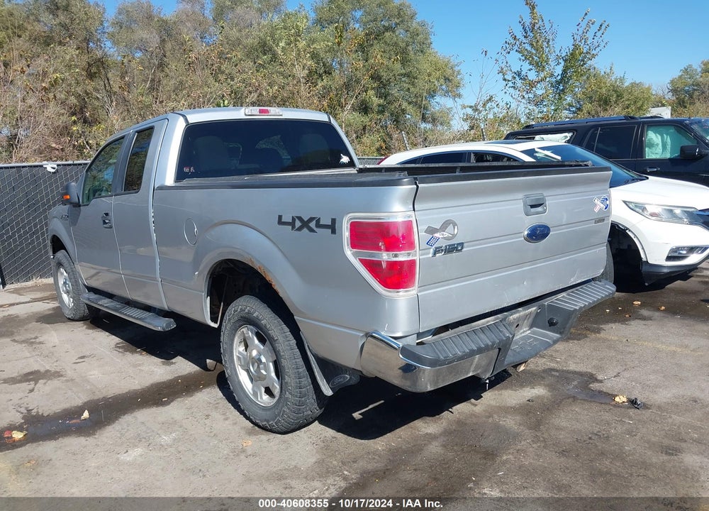 2010 FORD F-150 STX/XL/XLT VIN: 1FTEX1E87AFA70342