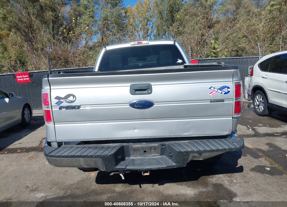 2010 FORD F-150 STX/XL/XLT VIN: 1FTEX1E87AFA70342