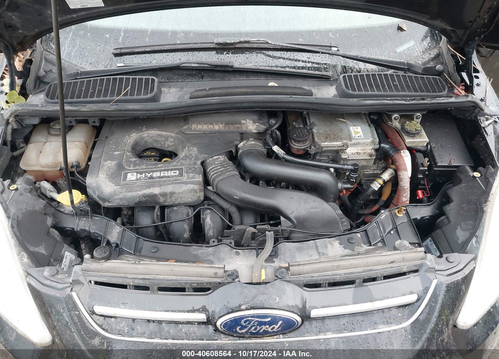 2013 FORD C-MAX VIN: 1FADP5AU9DL525970