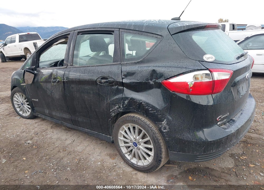 2013 FORD C-MAX VIN: 1FADP5AU9DL525970