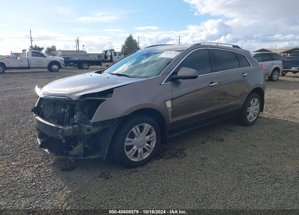 2011 CADILLAC SRX LUXURY COLLECTION VIN: 3GYFNDEY1BS595044
