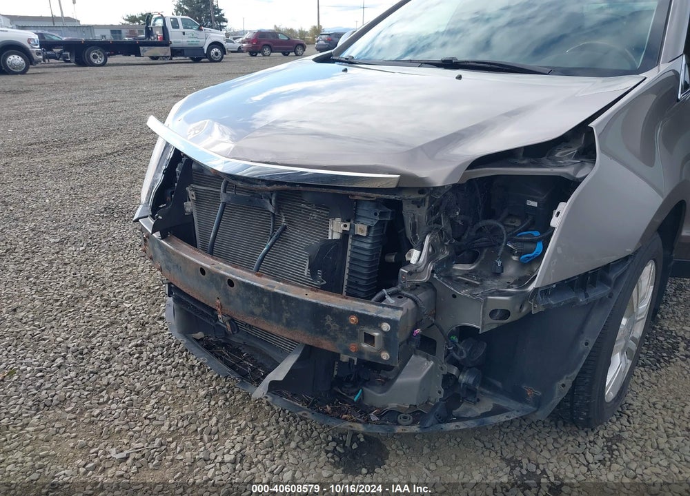 2011 CADILLAC SRX LUXURY COLLECTION VIN: 3GYFNDEY1BS595044
