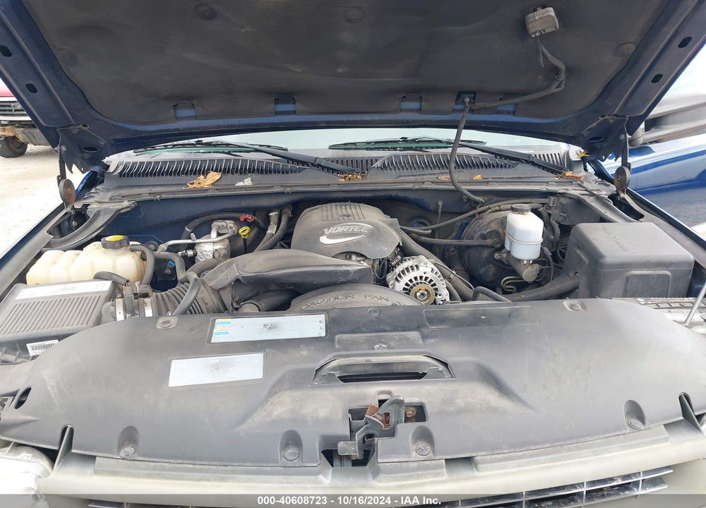 2002 CHEVROLET SILVERADO 1500 LS VIN: 2GCEC19V621134018