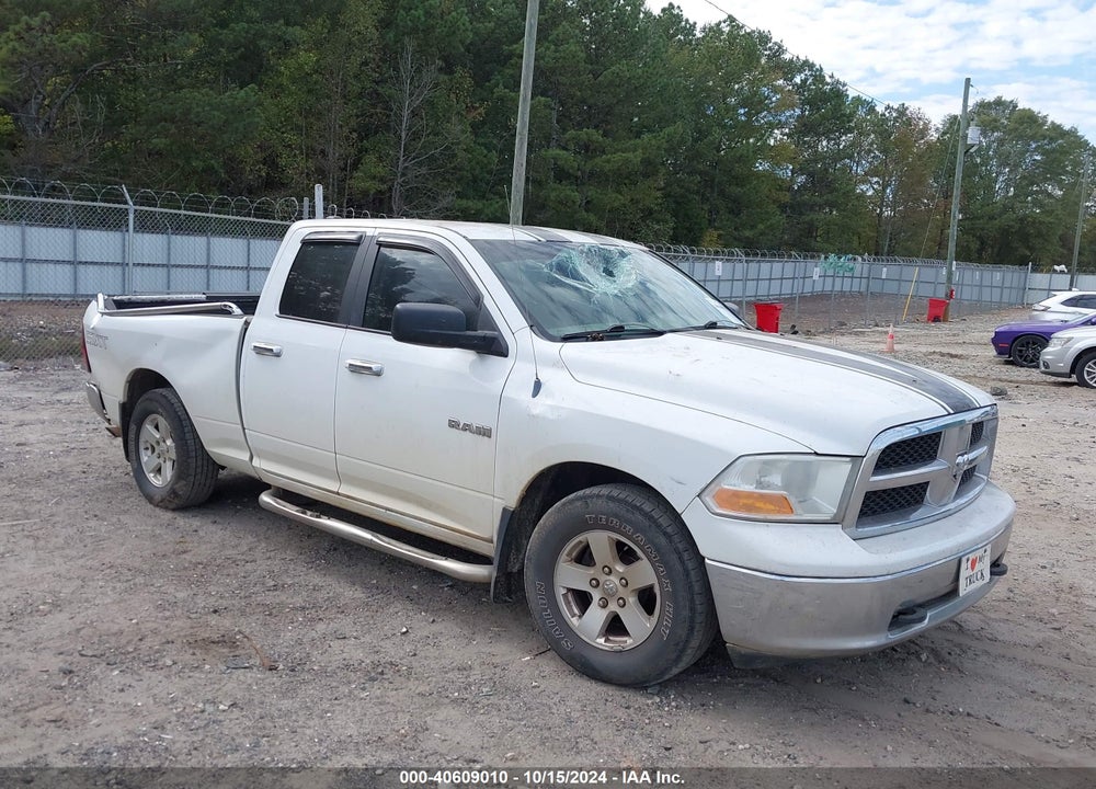 2010 DODGE RAM 1500 SLT/SPORT/TRX VIN: 1D7RB1GP5AS249030